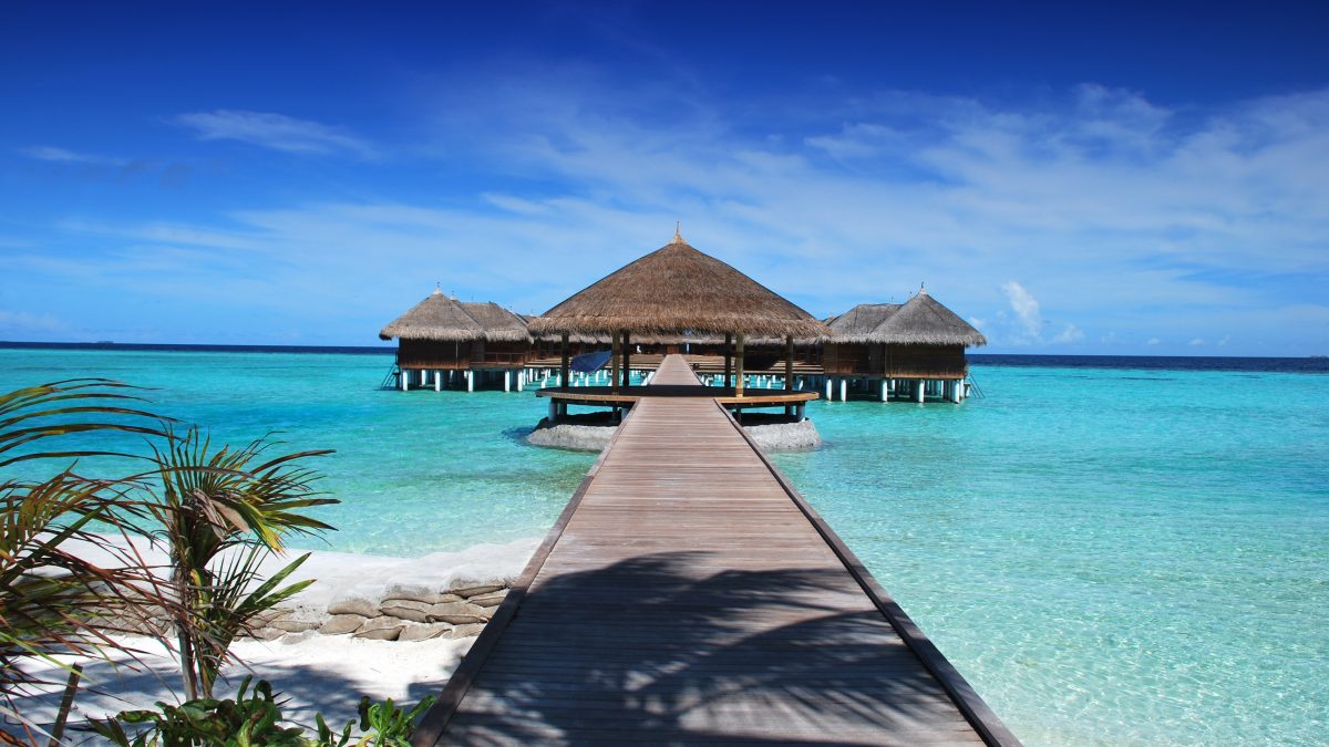 Wellness in the Waves: Top Wellness-focused Activities to Try During Your Maldives Beach Holiday