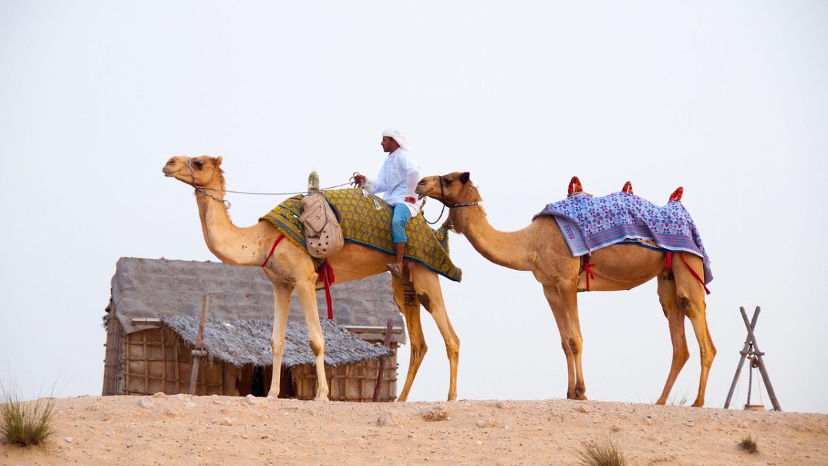 Hidden Corners Around Downtown Dubai Tourists Often Miss
