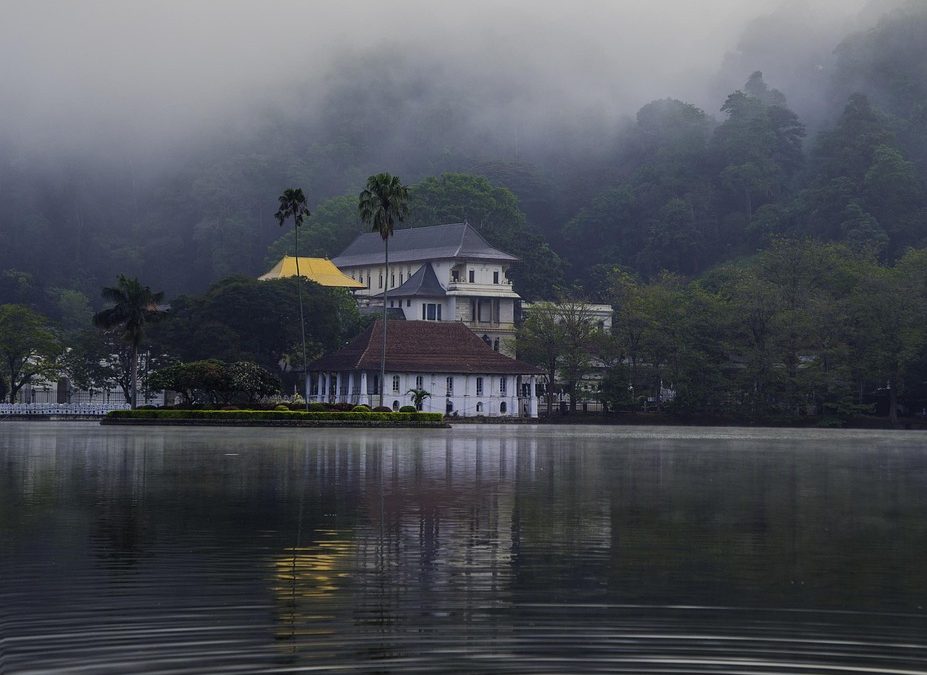 Hidden Trails and Serene Walks Around Kandy Lake and Udawatta Kele Sanctuary