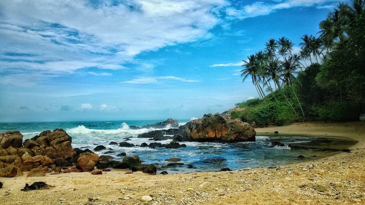 What First-Time Visitors Should Know Before Visiting Mirissa: Tips for Paradise