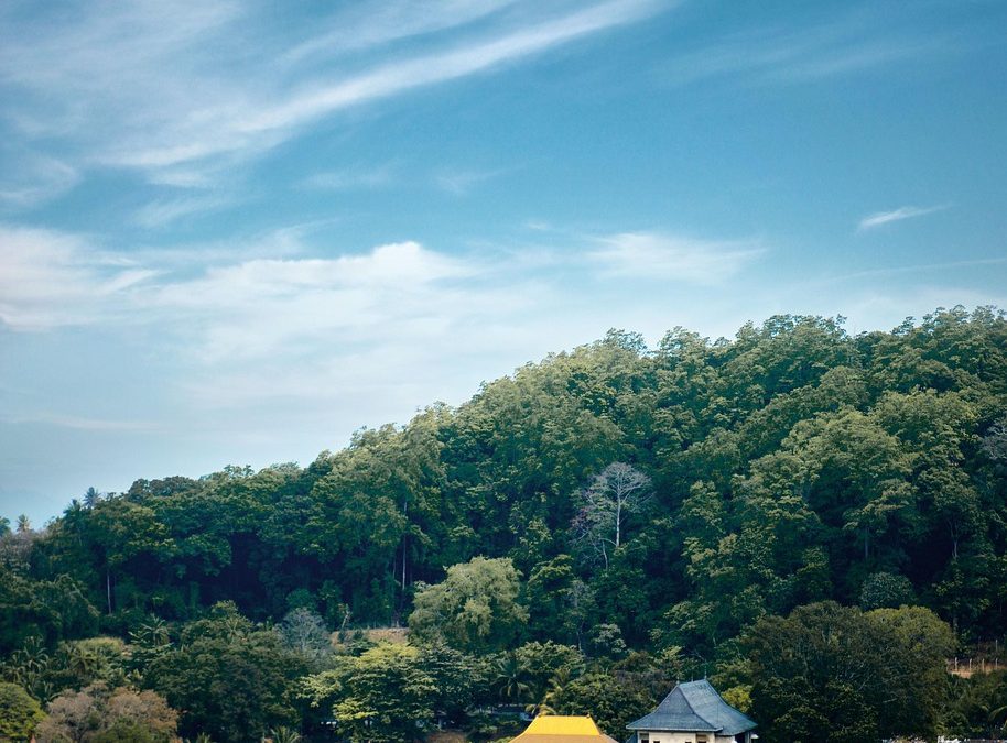 Kandy’s lakeside serenity: strolling paths where history whispers in every breeze