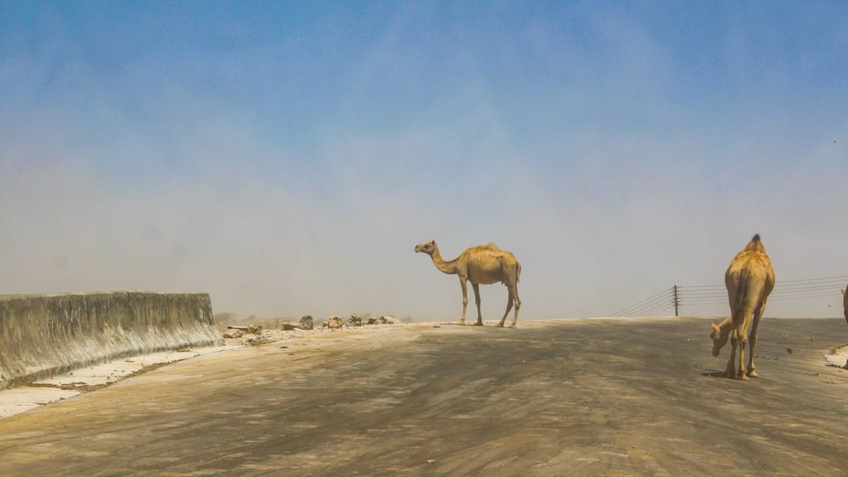 Salalah in Oman