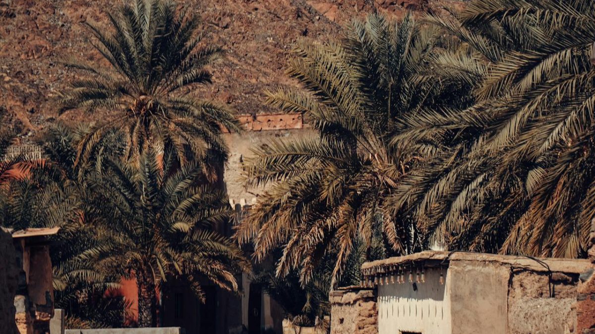 Luxury Mountain Travel in Jabal Akhdar