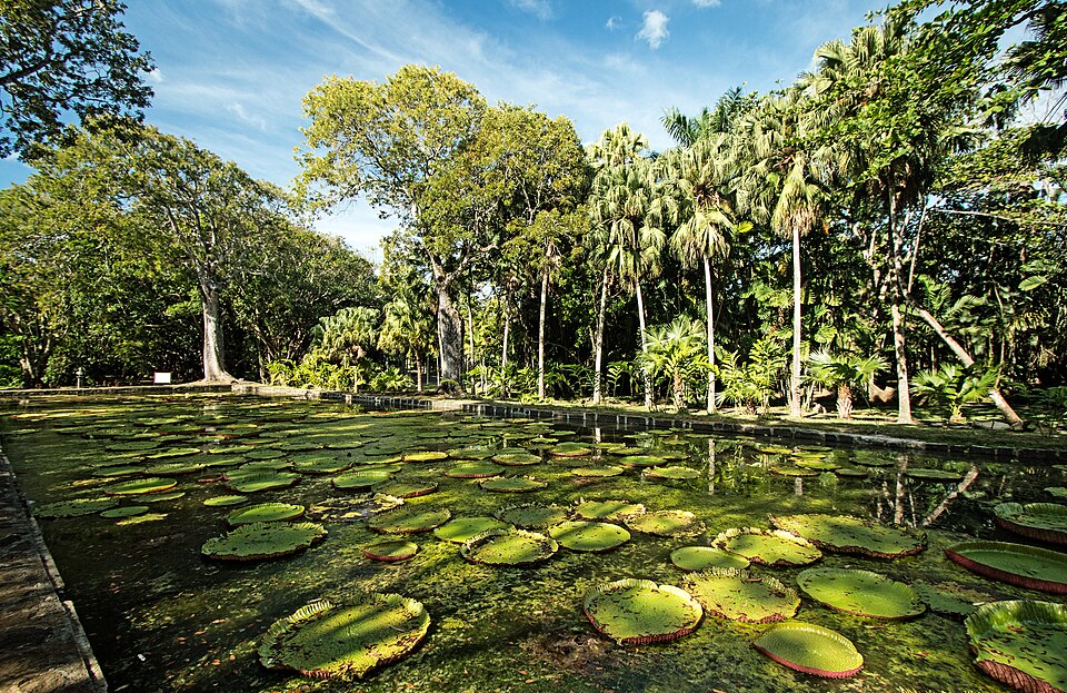 First Trip to Mauritius