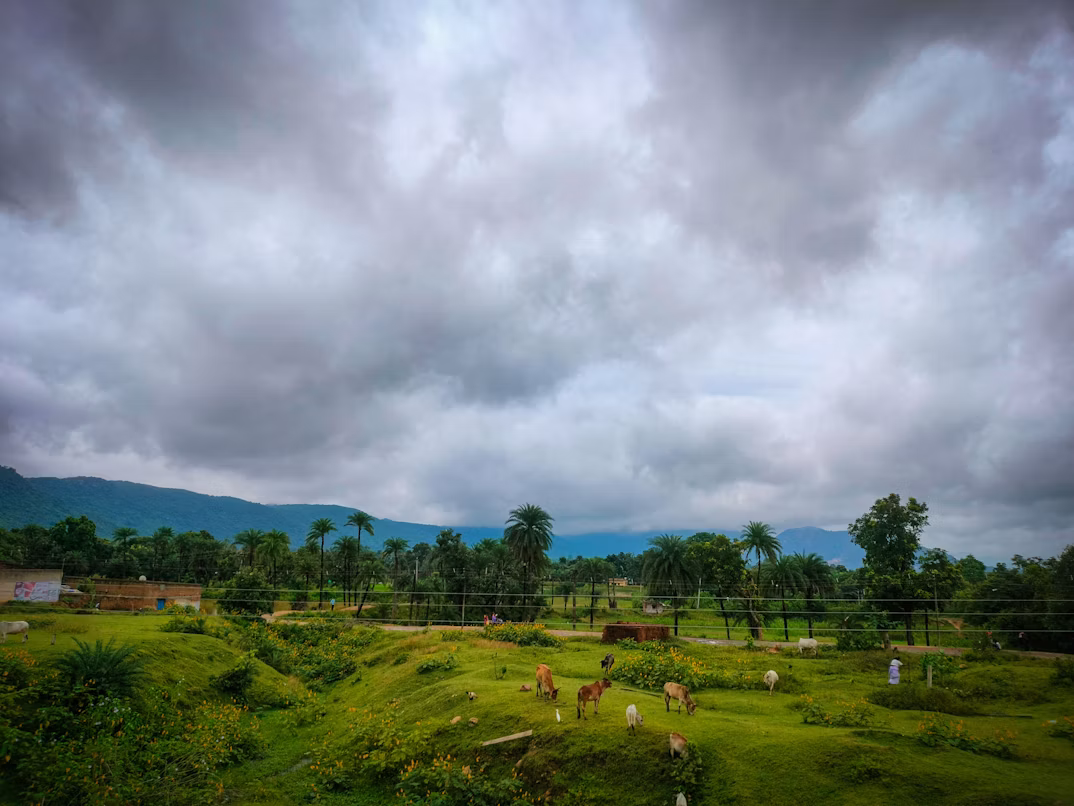 Khareef in Salalah: The Cultural Significance of Oman’s Monsoon Season