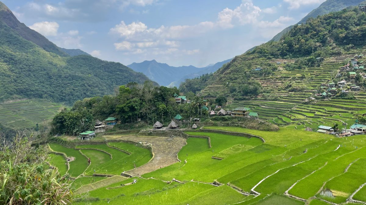 What are the best things to do in Ubud beyond the Monkey Forest?