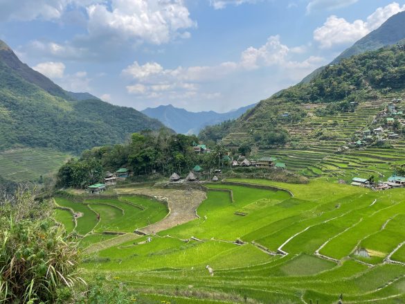 What are the best things to do in Ubud beyond the Monkey Forest?
