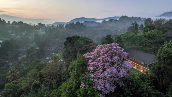 Discovering the Cultural and Natural Beauty of Kandy