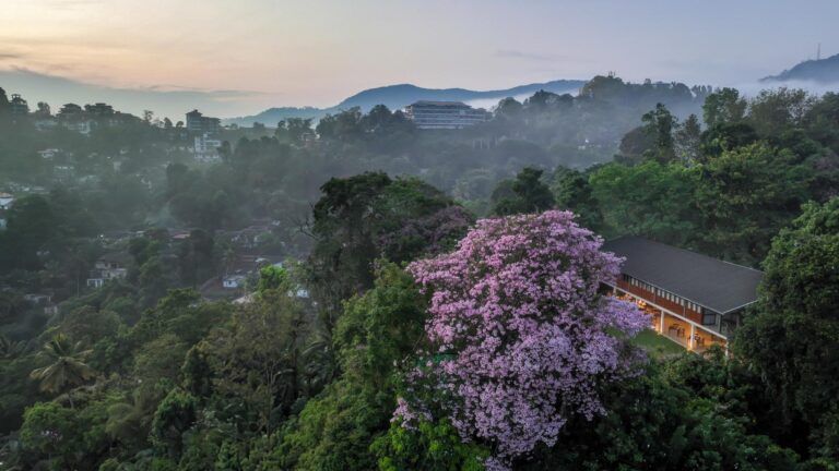 Discovering the Cultural and Natural Beauty of Kandy
