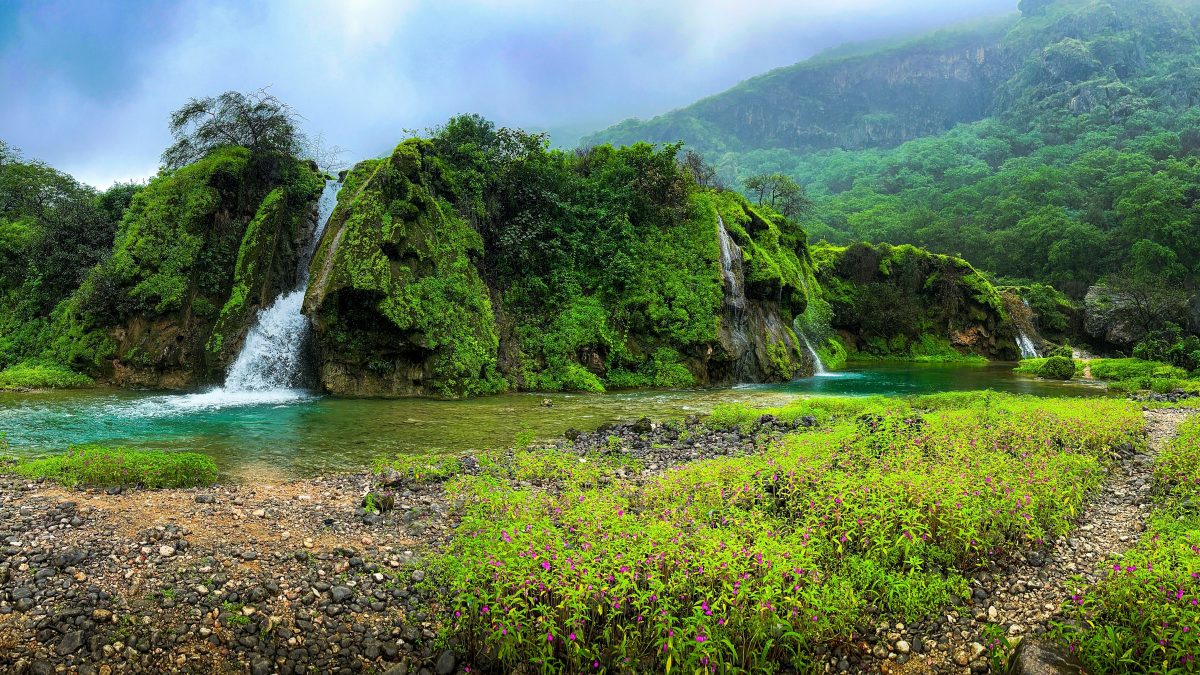 Why Is Salalah Known as Oman’s Tropical Paradise?