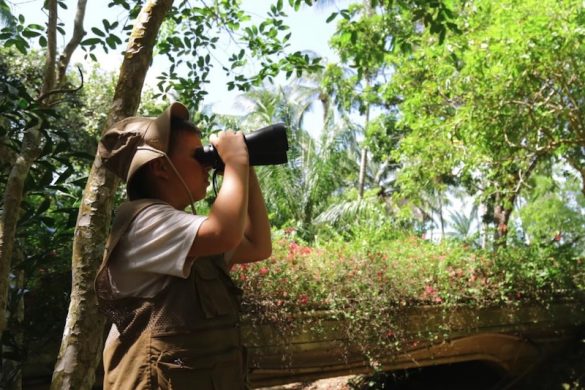 How Thailand Is Embracing Sustainable Tourism for Future Travellers