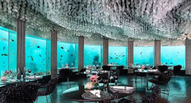 How to Plan a Luxury Maldives Holiday Around Unique Underwater Dining Experiences