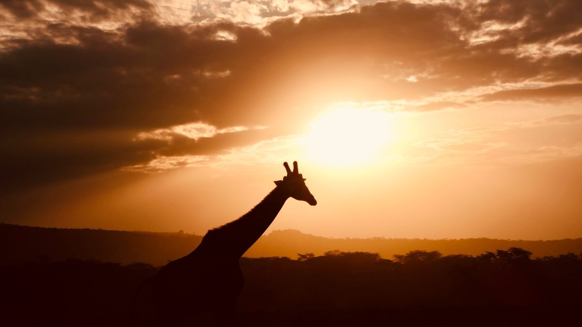 Romantic Getaways in Gaborone for Scenic Walks, Sunset Views, and Shared Adventures