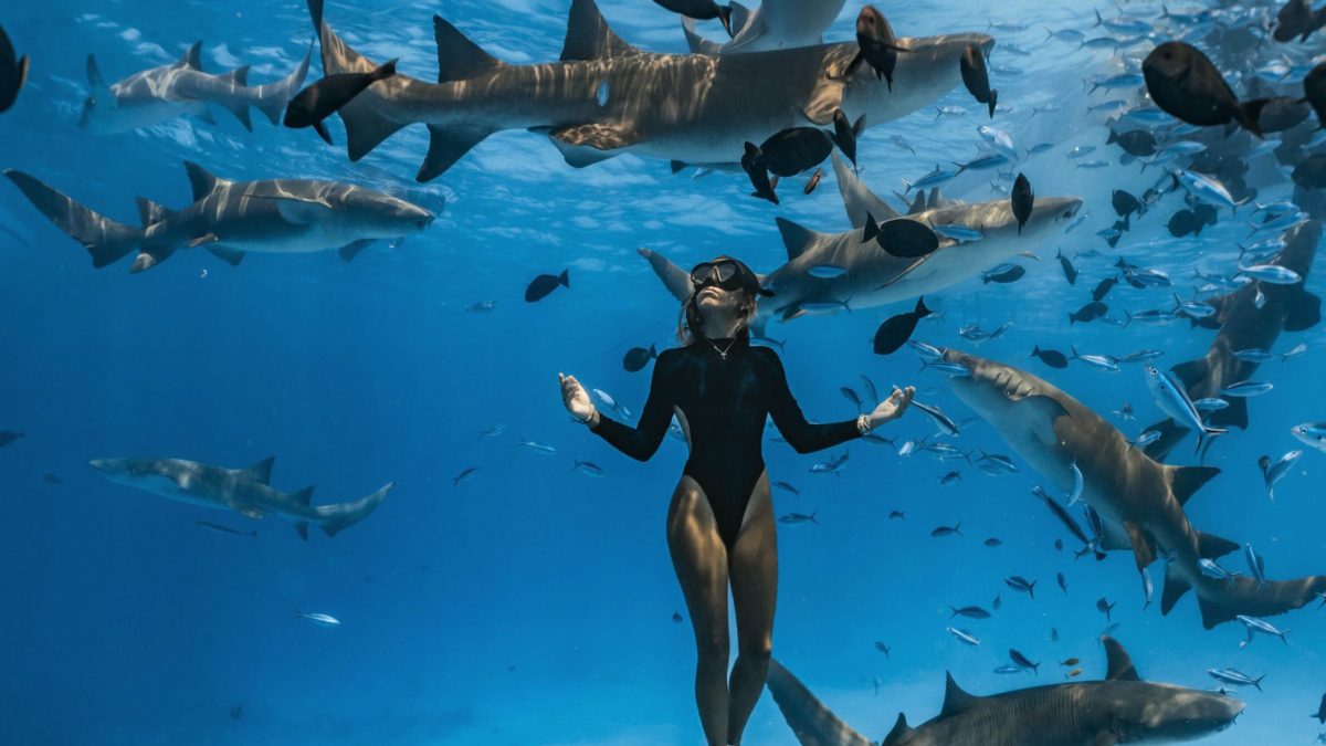 A Complete Guide to October Travel in South Malé Atoll: Monsoonal Transitions, Marine Life Encounters, and Golden Hour Living