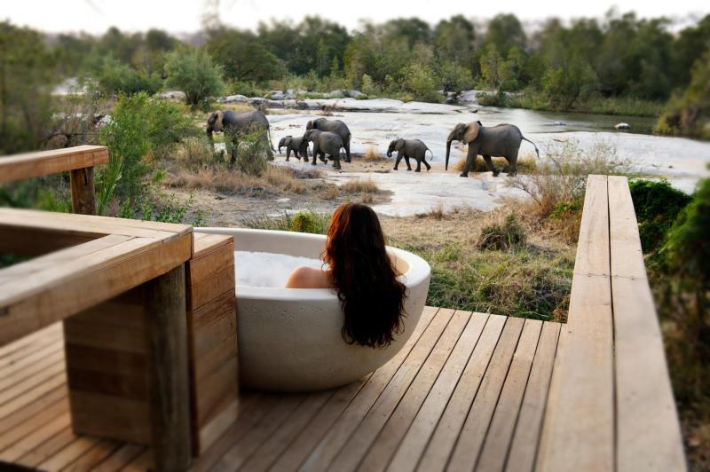 How to Choose an African Hotel for Safari, Scenic Landscapes and Upscale Comfort